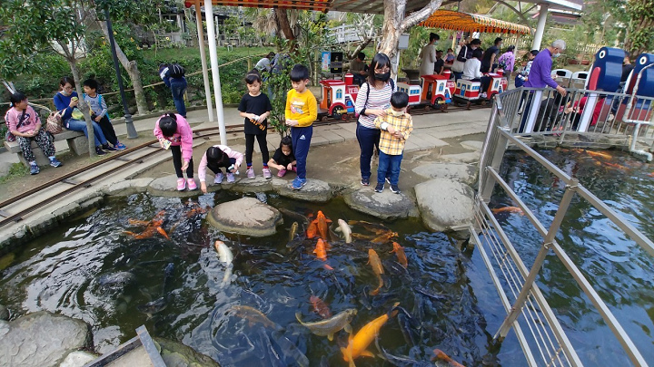 1091226-九芎湖步道採橘_201228_0010.jpg 1091226-九芎湖步道採橘_201228_0010.jpg