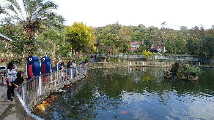 1091226-九芎湖步道採橘_201228_0014.jpg 1091226-九芎湖步道採橘_201228_0014.jpg