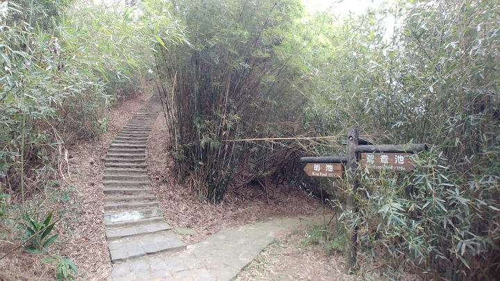 1091226-九芎湖步道採橘_201228_0020.jpg 1091226-九芎湖步道採橘_201228_0020.jpg