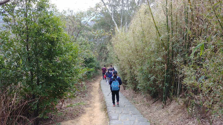 1091226-九芎湖步道採橘_201228_0022.jpg 1091226-九芎湖步道採橘_201228_0022.jpg