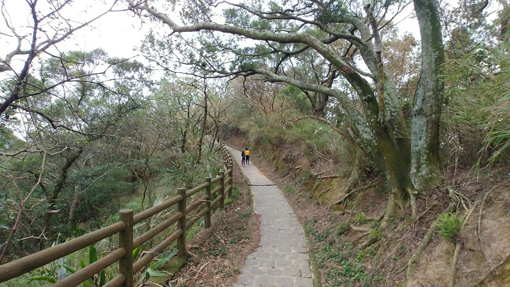 1091226-九芎湖步道採橘_201228_0027.jpg 1091226-九芎湖步道採橘_201228_0027.jpg