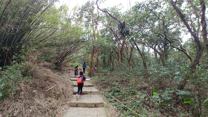 1091226-九芎湖步道採橘_201228_0031.jpg 1091226-九芎湖步道採橘_201228_0031.jpg