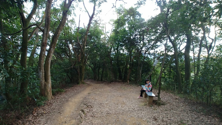 1100101-鳶山_210101_0007.jpg 1100101-鳶山_210101_0007.jpg