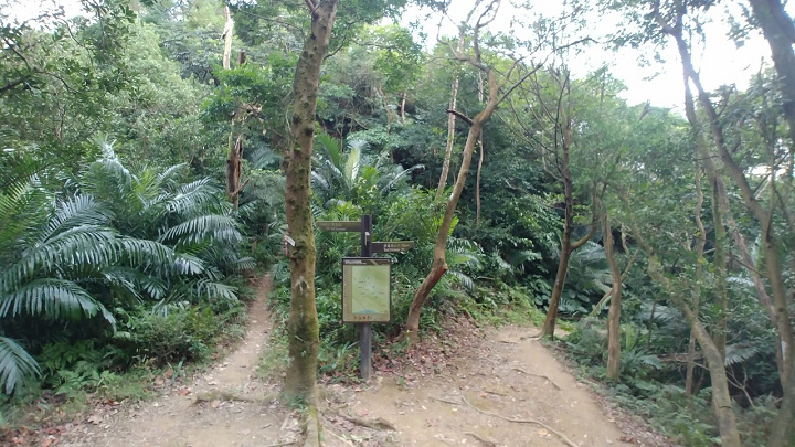 1100101-鳶山_210101_0008.jpg 1100101-鳶山_210101_0008.jpg