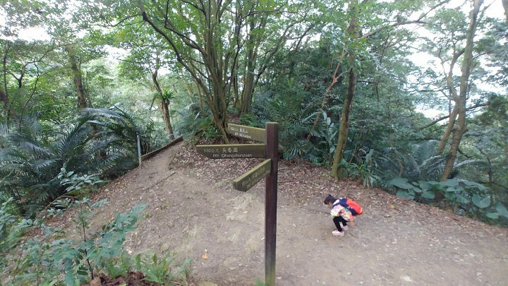 1100101-鳶山_210101_0011.jpg 1100101-鳶山_210101_0011.jpg