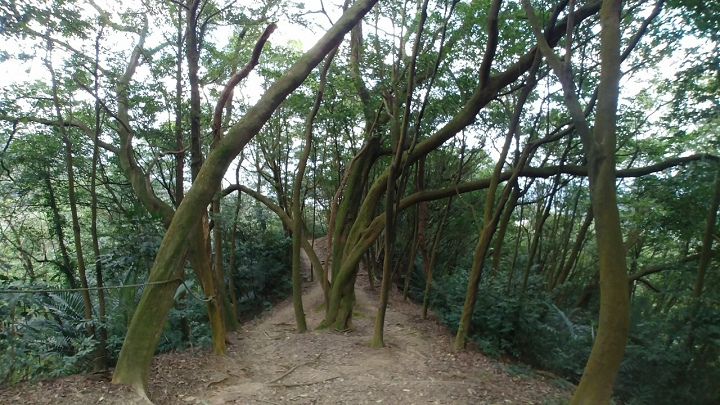 1100101-鳶山_210101_0010.jpg 1100101-鳶山_210101_0010.jpg