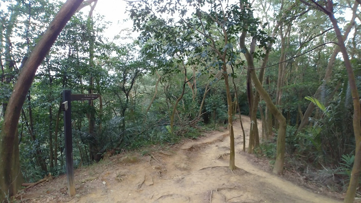 1100101-鳶山_210101_0009.jpg 1100101-鳶山_210101_0009.jpg