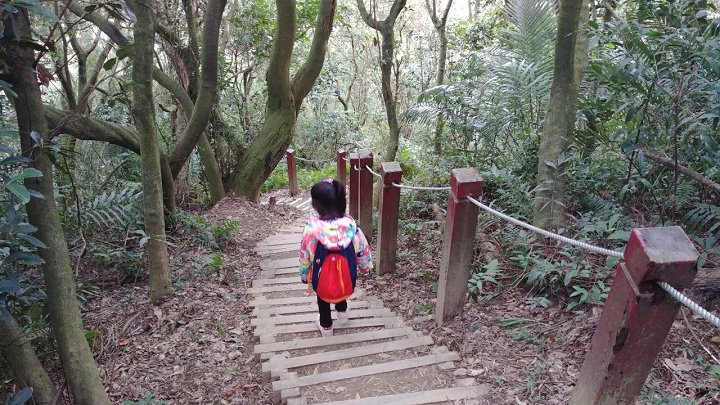 1100101-鳶山_210101_0015.jpg 1100101-鳶山_210101_0015.jpg