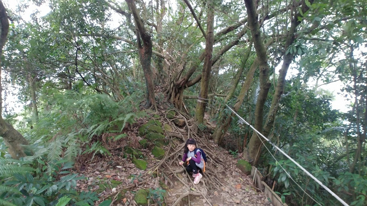 1100101-鳶山_210101_0018.jpg 1100101-鳶山_210101_0018.jpg