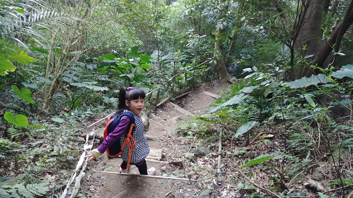 1100101-鳶山_210101_0020.jpg 1100101-鳶山_210101_0020.jpg