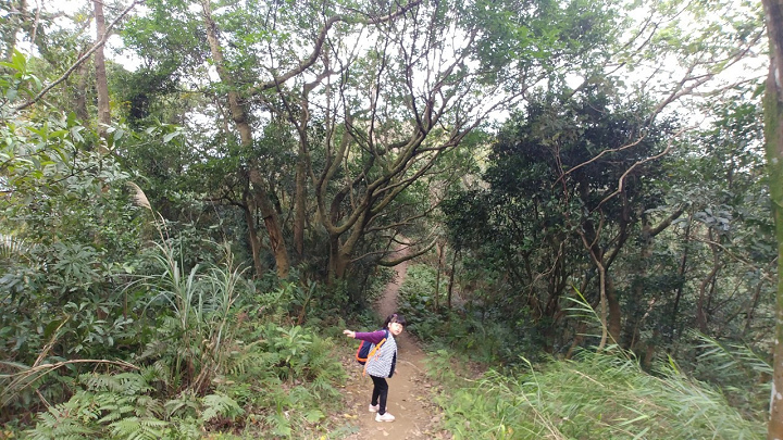 1100101-鳶山_210101_0039.jpg 1100101-鳶山_210101_0039.jpg