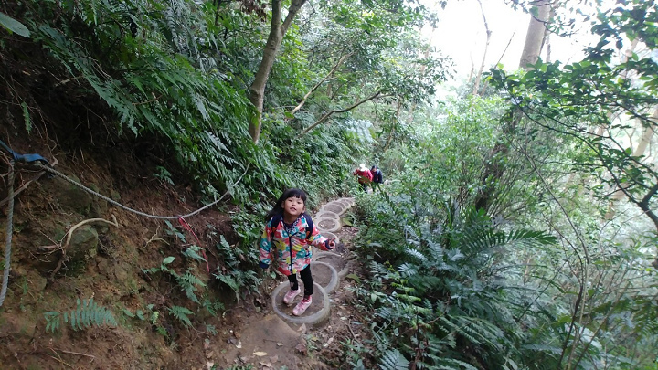 1100101-鳶山_210101_0076.jpg 1100101-鳶山_210101_0076.jpg