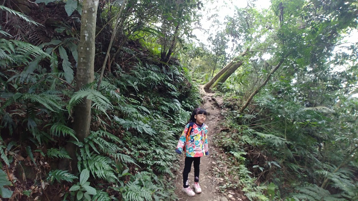 1100101-鳶山_210101_0080.jpg 1100101-鳶山_210101_0080.jpg