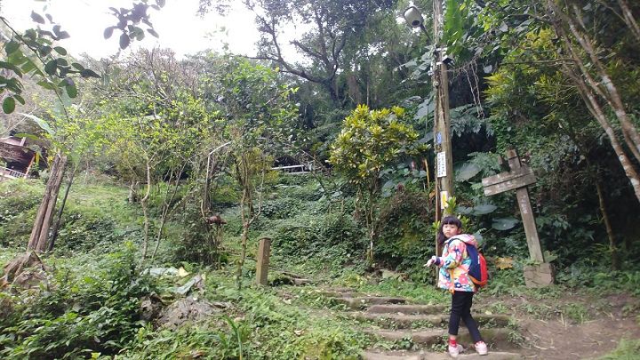 1100101-鳶山_210101_0087.jpg 1100101-鳶山_210101_0087.jpg