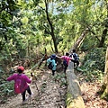 LINE_ALBUM_1120312-赤柯山、東獅頭山_230312_13.jpg