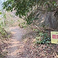 LINE_ALBUM_1120312-赤柯山、東獅頭山_230312_22.jpg