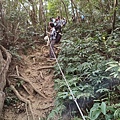 LINE_ALBUM_1120312-赤柯山、東獅頭山_230312_29.jpg