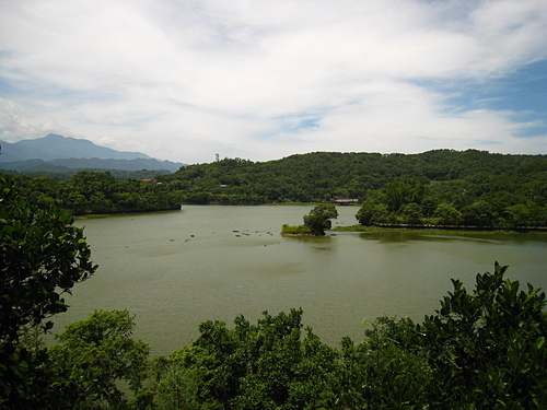 08.jpg