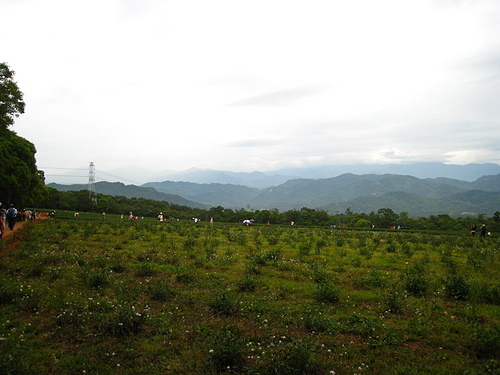 08.jpg