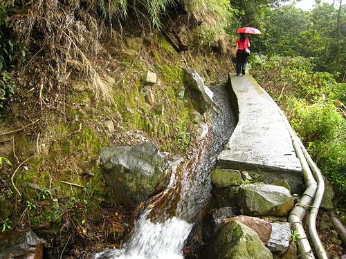 990808【陽明山區】半嶺水圳步道、紗帽山、橫嶺古道