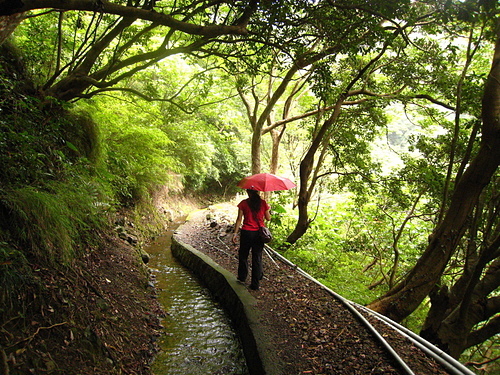 990808【陽明山區】半嶺水圳步道、紗帽山、橫嶺古道