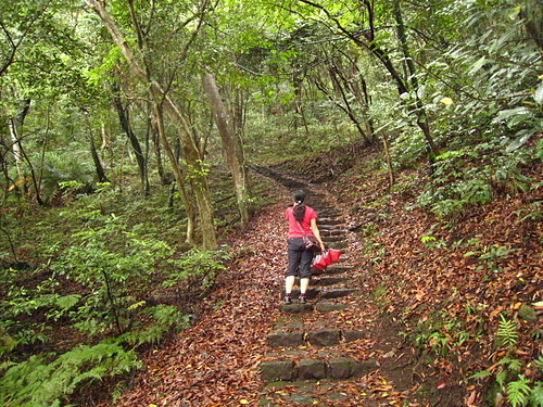 990808【陽明山區】半嶺水圳步道、紗帽山、橫嶺古道