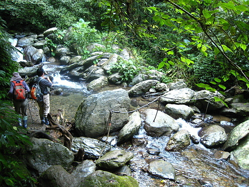 990801【北縣烏來】哈盆古道、志良久山