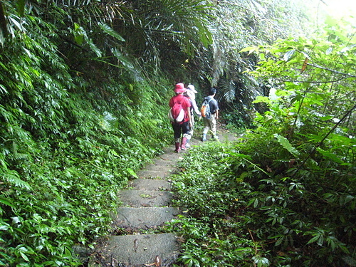 990801【北縣烏來】哈盆古道、志良久山