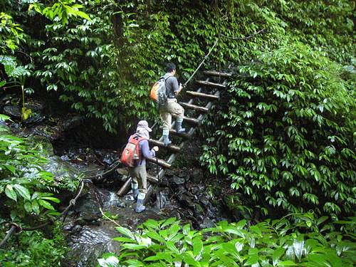 990801【北縣烏來】哈盆古道、志良久山