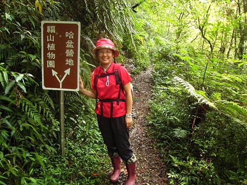 990801【北縣烏來】哈盆古道、志良久山