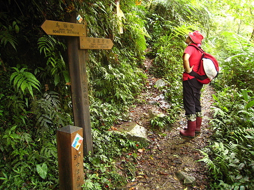 990801【北縣烏來】哈盆古道、志良久山