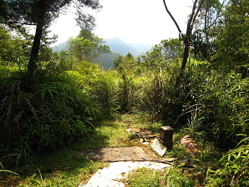 990801【北縣烏來】哈盆古道、志良久山