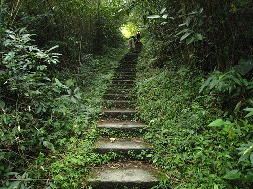 990801【北縣烏來】哈盆古道、志良久山