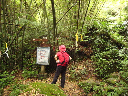 990725【北縣平溪】東勢格古道、臭頭山、中央尖山