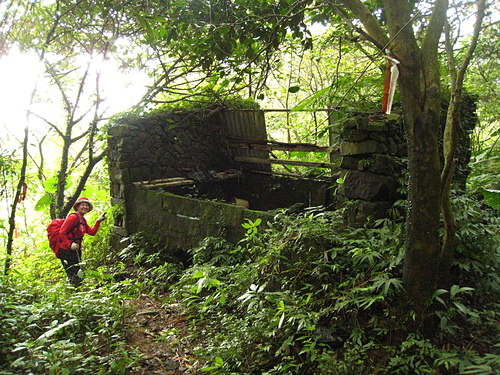 990221【北縣石碇】崩山大崙、石碇大崙、司公髻尾山、伏獅