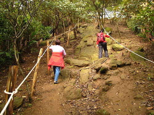 990103【北縣鶯歌】鶯歌石、鶯歌石山、忠義山