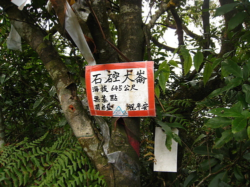 981224【北縣汐止】石硿子山林小徑、石硿大崙、姜子頭山