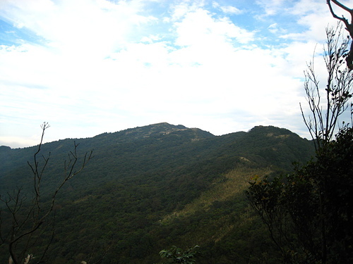 981224【北縣汐止】石硿子山林小徑、石硿大崙、姜子頭山