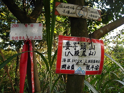 981224【北縣汐止】石硿子山林小徑、石硿大崙、姜子頭山