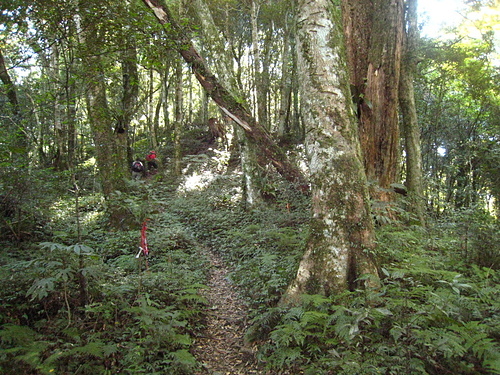 981108【桃園復興】夫婦山、拉拉山 (達觀山系五路會師 