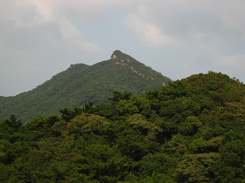 981029【北縣汐止】金明山、如意湖、柯子林山