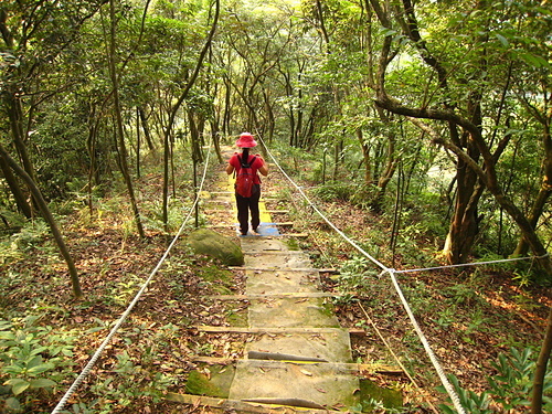 981017【北縣林口】新寮山、新林步道