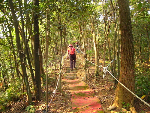 981017【北縣林口】新寮山、新林步道