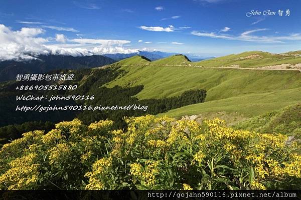 智勇攝影包車旅遊合歡山(包車旅遊) (3).jpg