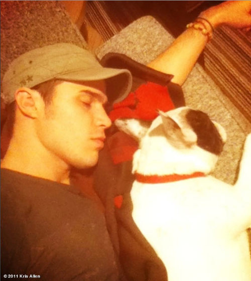 kris-allen-puppy_large