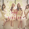 Apink 迷你五輯Pink Luv.jpg