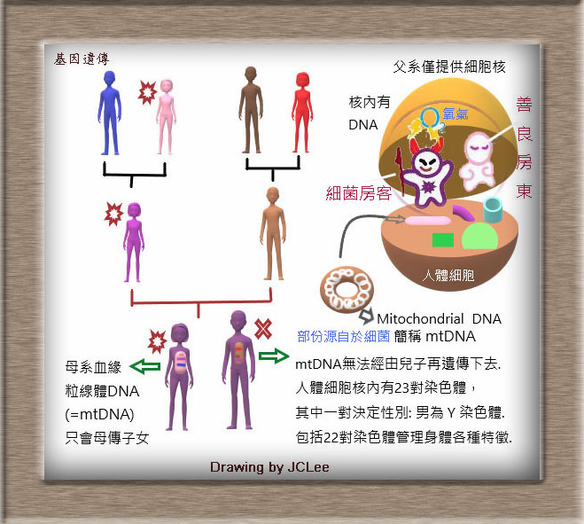 DNA-分析圖.jpg