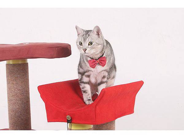 海登寵物用品貓咪與貓居貓跳台008.jpg