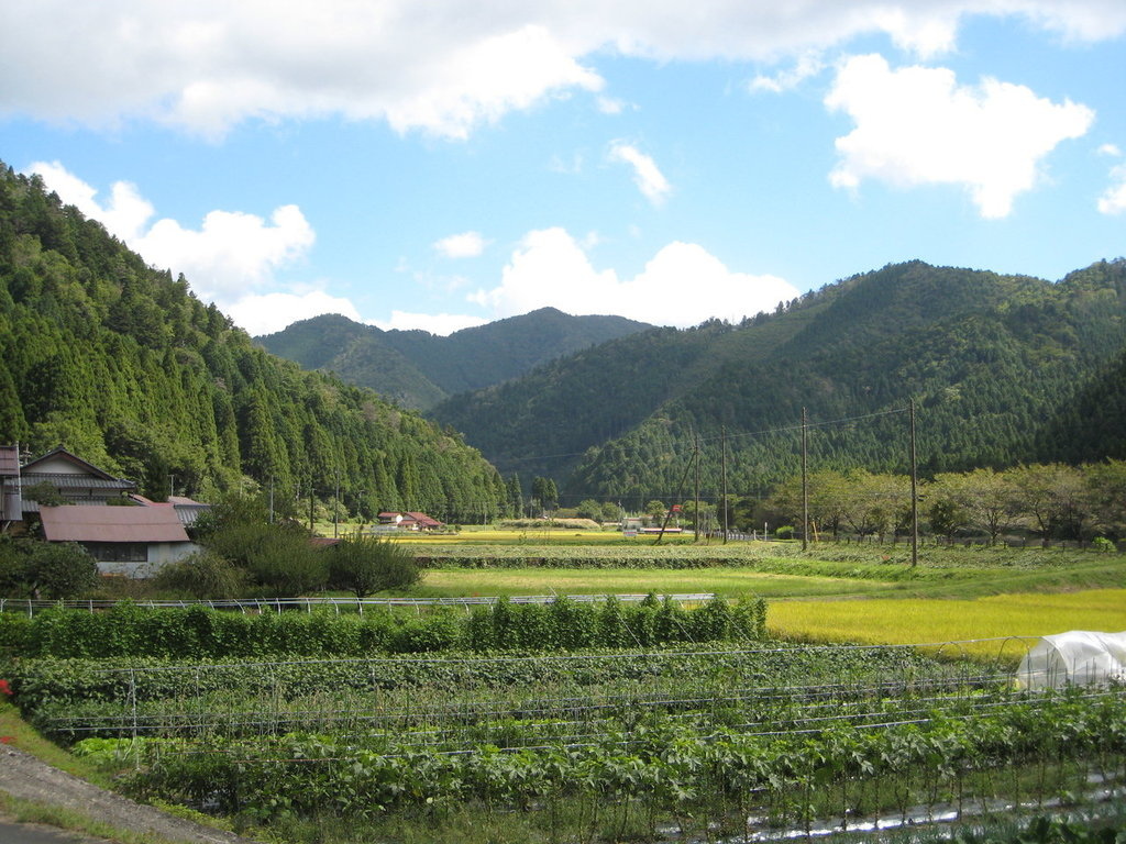 2010/9/13~9/26韓國首爾+日本關西之14天跨國緩