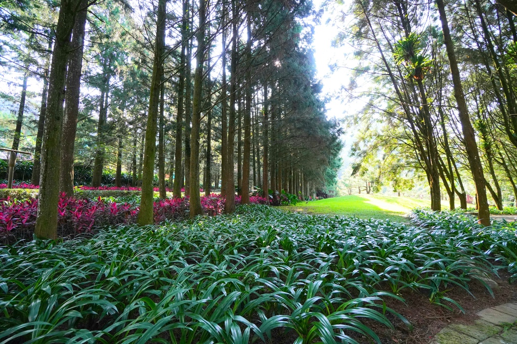 20211111_103004.jpg 20211111_103004.jpg